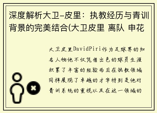 深度解析大卫-皮里：执教经历与青训背景的完美结合(大卫皮里 离队 申花)